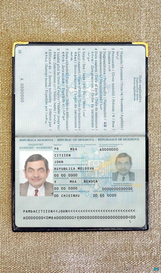 Download Moldova pass photo look Photoshop template